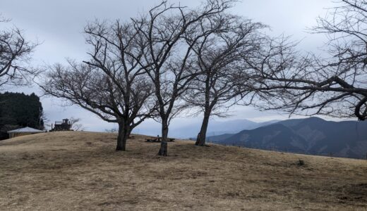 親の立場からの美術大学14　メソッドを鬼滅から学ぶw