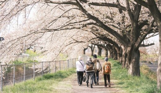 100歳に挑む2　筋力維持はウォーキングだけでは困難だろう