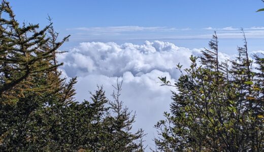 親の立場からの美術大学76　発達障害にアプローチする気かい？？