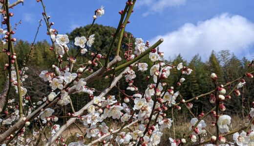 親の立場からの美術大学92　常識人なんぞ目指さんぞ！　